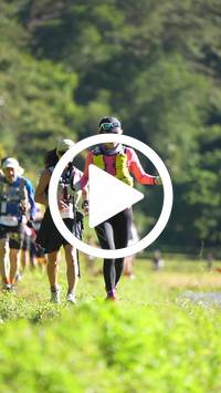 BIB:  <button type="button" onclick="openModal(26578151)" class="btn btn-primary btn-sm float-right" data-toggle="modal" data-target=".modal-high-quality">
                <i class="fa fa-download"></i> Download
                </button>